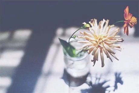 遇到困难一个人扛得说说文案