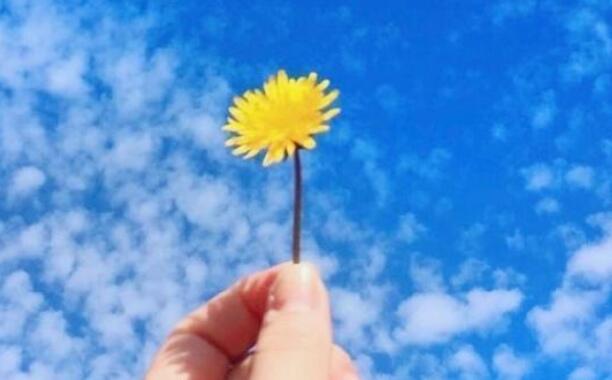 早上好发圈的句子文案简短