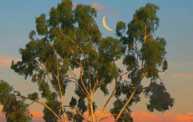 手受伤后的坚强的句子文案