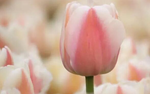 人变了的经典句子文案