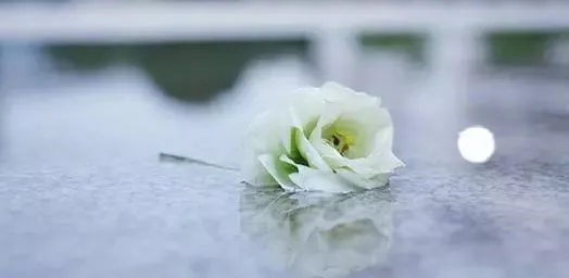 悼念刚离去的亲人的诗