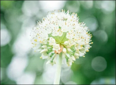 心情美美哒朋友圈短句