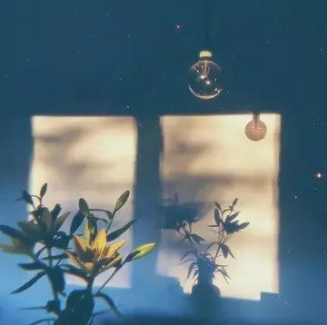 可爱的文案简短