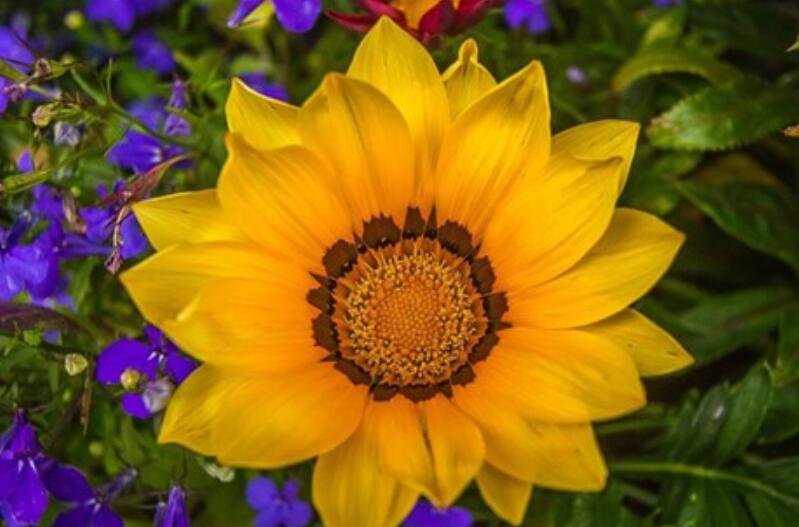 简短走心的个性签名