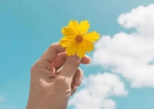 向阳生长幸福你我的唯美句子文案