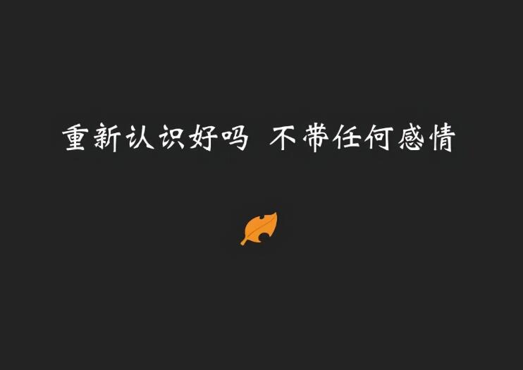 感情语录文案心痛的一段话