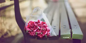 15岁青春寄语简短