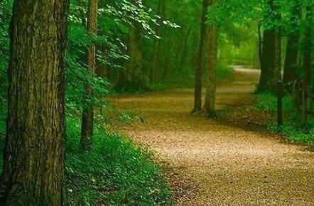 好的经典语录文案