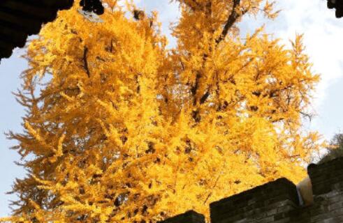 安慰情人分手的句子文案