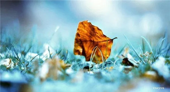 写环境唯美句子文案20字