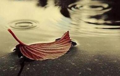 感慨单身的美好的句子文案