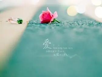 可以挽回爱情的情话文案