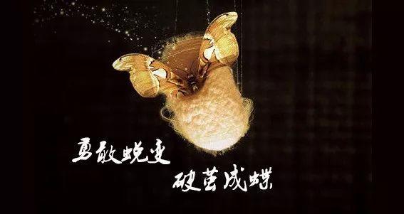 破茧成蝶激励名句文案