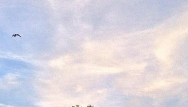 人生态度的句子文案