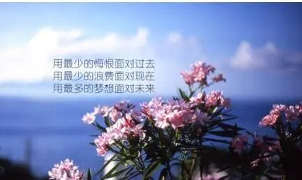 励志的句子文案加配图