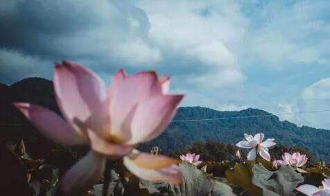 活泼的名言名句文案