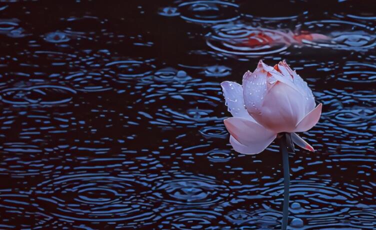 关于伟人的诗句文案