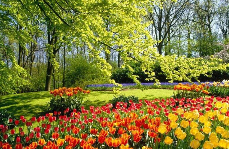 与大自然亲密接触的句子文案