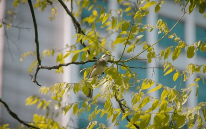 关于谷雨的诗词名句文案