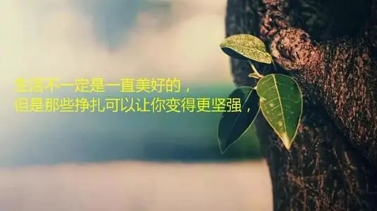 看自己朋友圈经历感慨