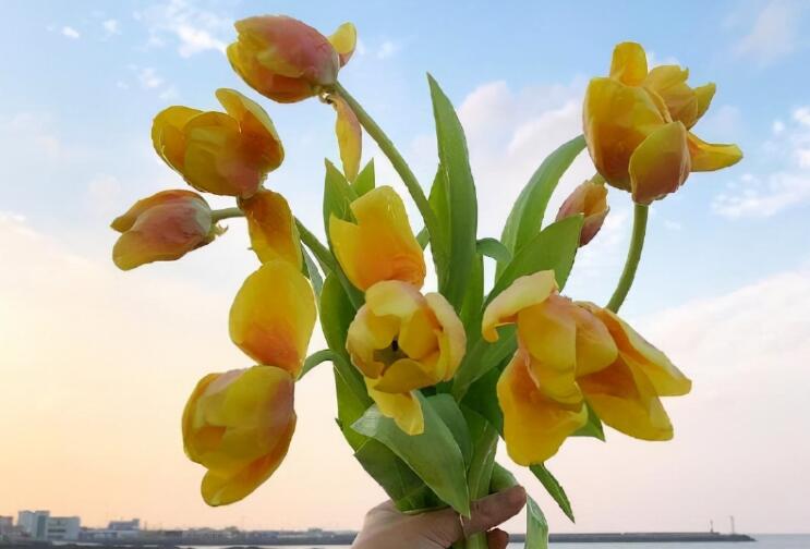 致自己的话十字