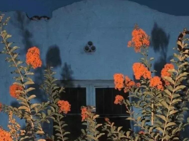 暗恋的句子文案唯美超短句