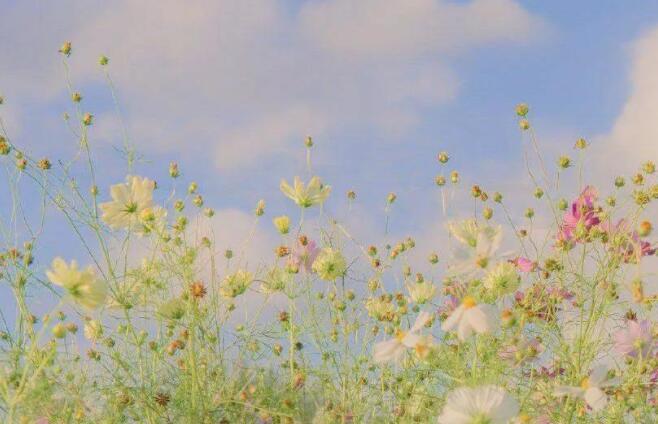 适合发朋友圈的励志短句