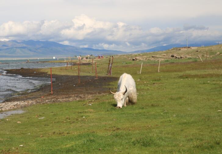 大西北旅游心情说说文案