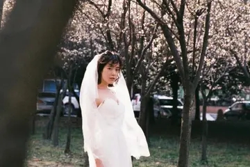 表示自己想脱单的句子文案