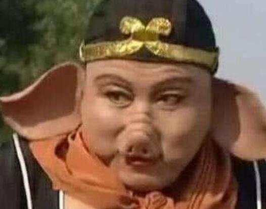 猪八戒的外貌描写