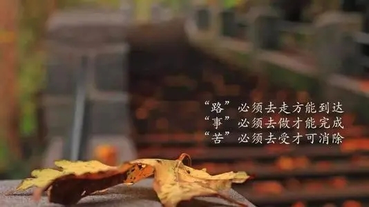 没有味道的生活句子文案