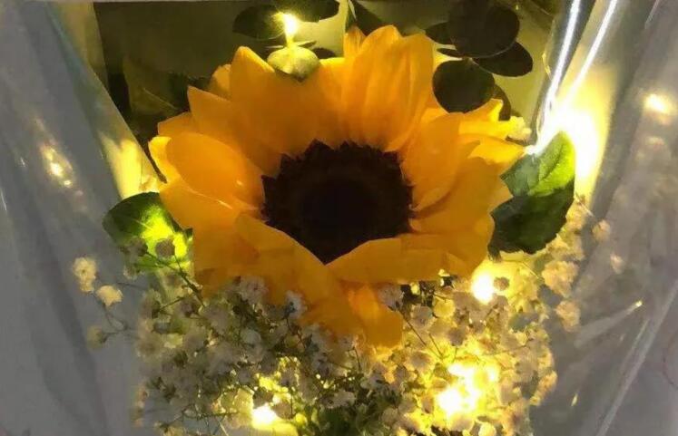 向日葵花语发朋友圈