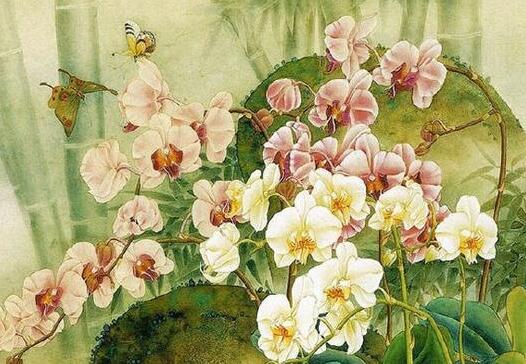 绝美意境古风文案美句