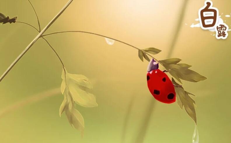 描写白露节气诗句文案诗词大全