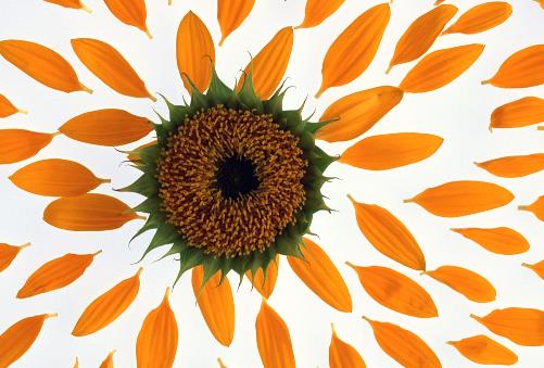 课外读书笔记好词好句文案