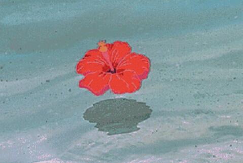 最美好的知心朋友早安问候语