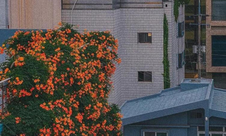 古风文案八字短句凄凉