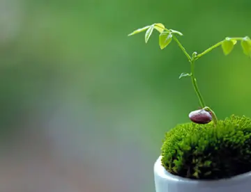 写给活泼开朗的朋友的祝福语