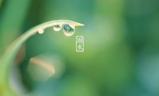 初春给顾客发养生短信