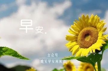 问候不分早晚的早安问候语