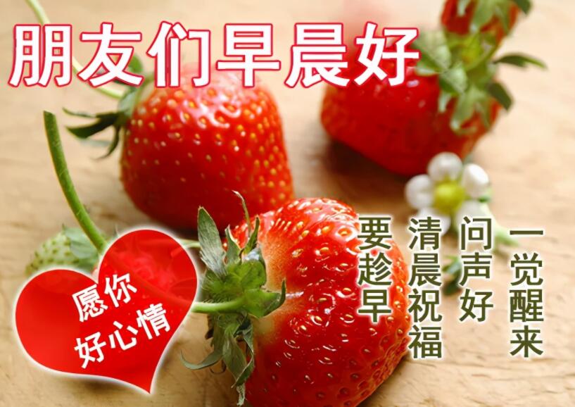 女人最美早安心语图片