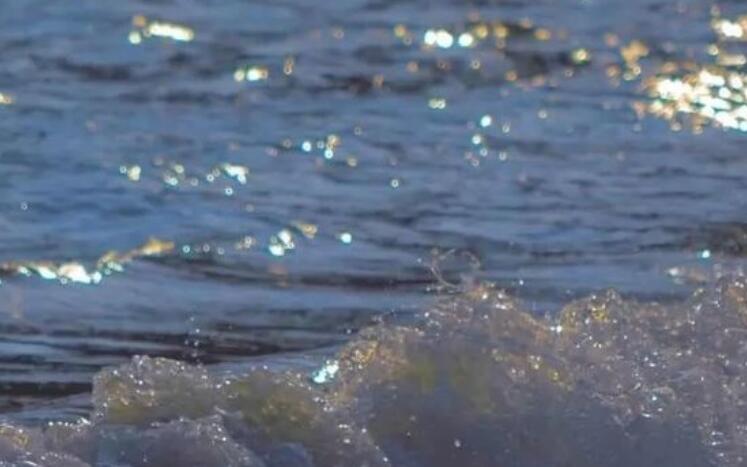 海边好心情的句子文案发朋友圈