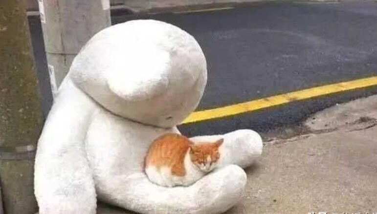 关于8月的优美句子文案