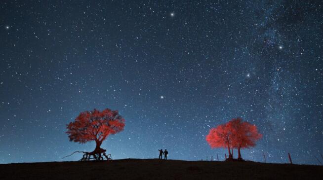 给老婆暖心话十字短句