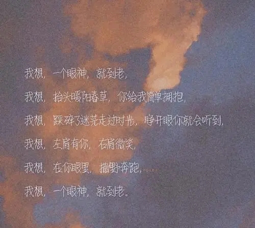 撒野经典语录文案