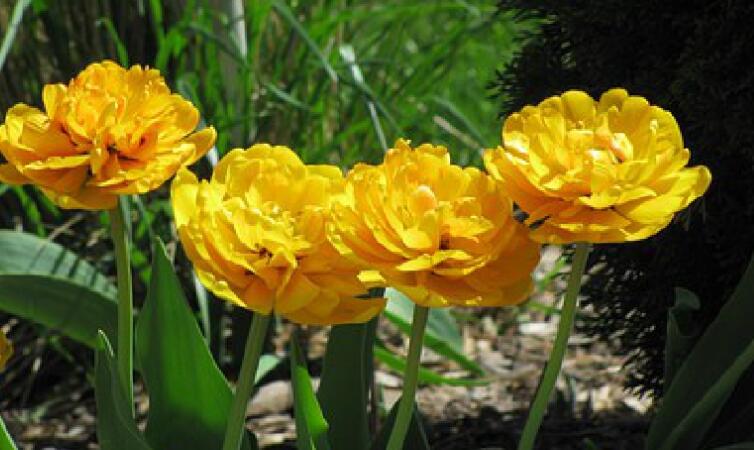 有内涵的经典励志句子文案