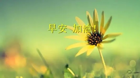 企业早安励志正能量的句子文案
