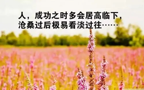 心灵鸡汤经典句子文案