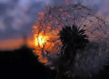 没人关心无聊说说文案