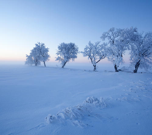 描写冬天景色的好词好句文案摘抄